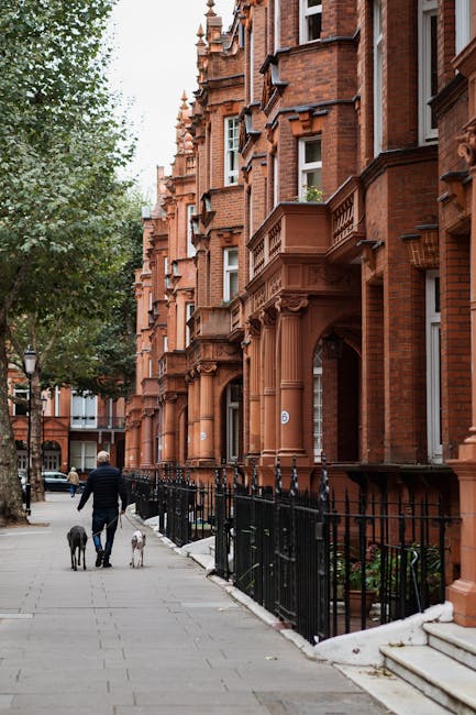 A person walking along a city sidewalk next to a row of red-brick Victorian-style residential buildings with ornate architectural details, including arched doorways and decorative columns. The individual is dressed in dark clothing and is accompanied by two dogs, one large and one small, both on leashes. The pavement is lined with a black metal fence, and there are some steps leading up to the entrances of the buildings. The scene is lit with natural daylight, and a large leafy tree partially shades the sidewalk. The image captures the urban environment typical of home relocation areas in West Kensington, with visible details relevant to moving and packing processes, such as the arrangement of the buildings and the sidewalk, which could be used by house removals services like West Kensington Removals.